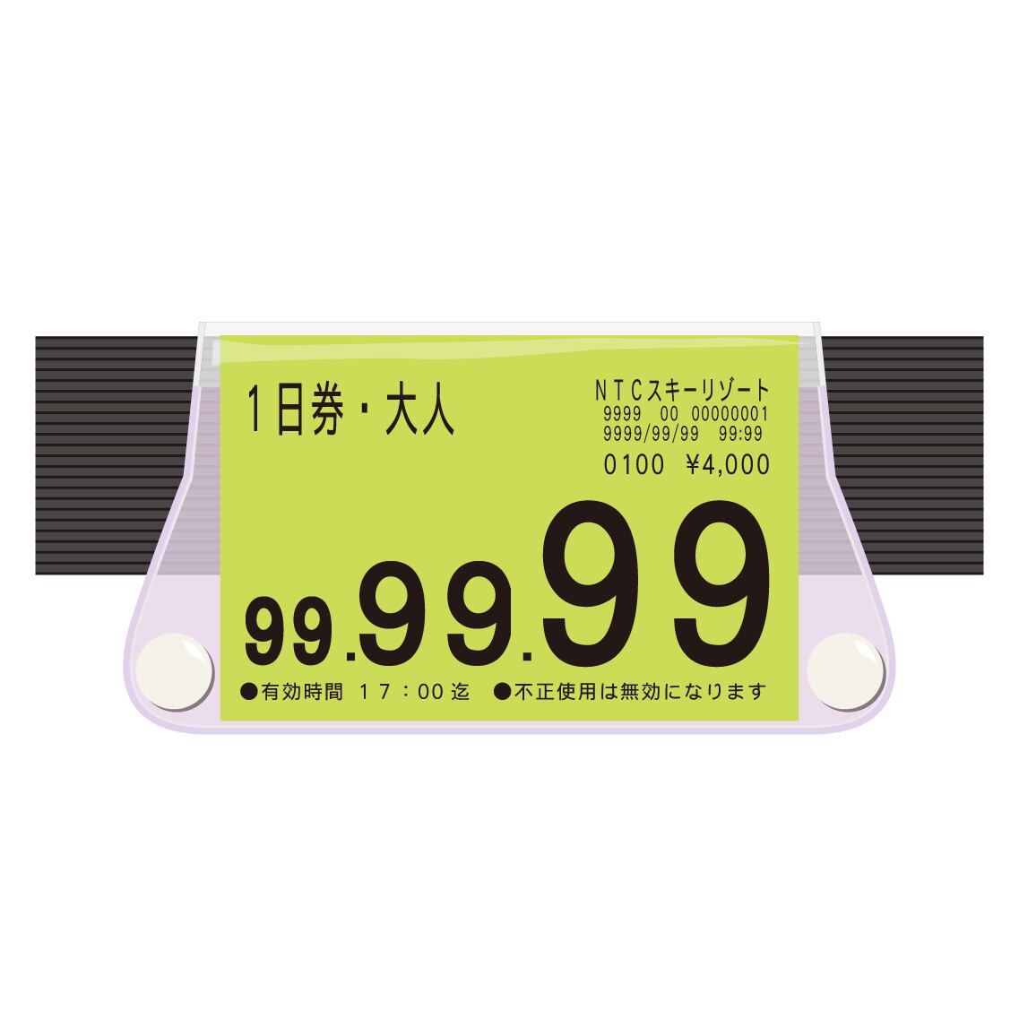 ゴーグルパス | Nippon Ticket Case