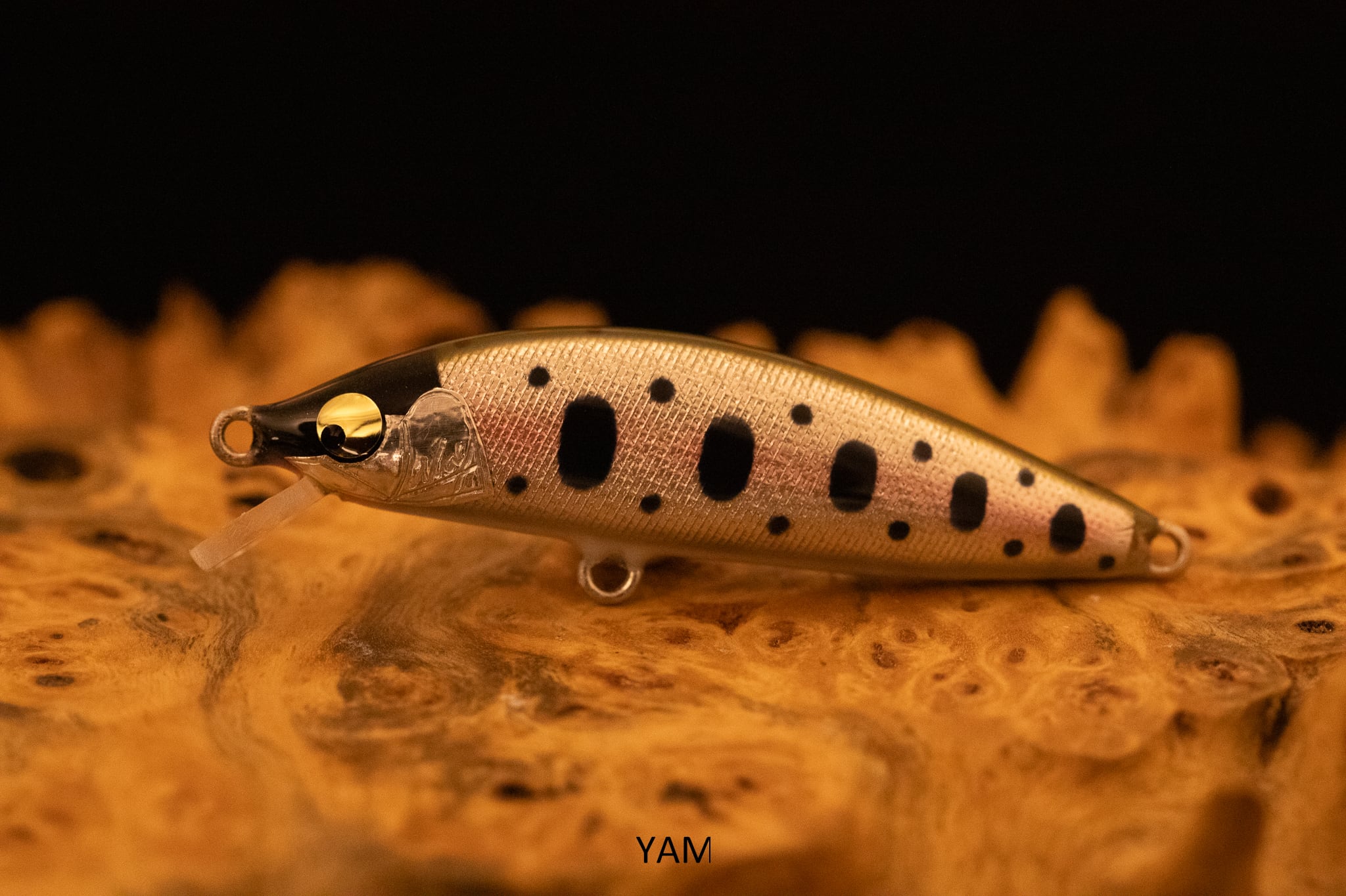 MAY Factory 皐月　TRAP 50R