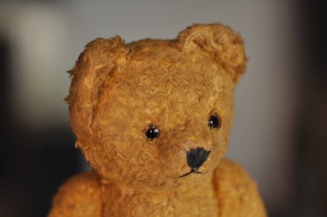 Teddy Bear3