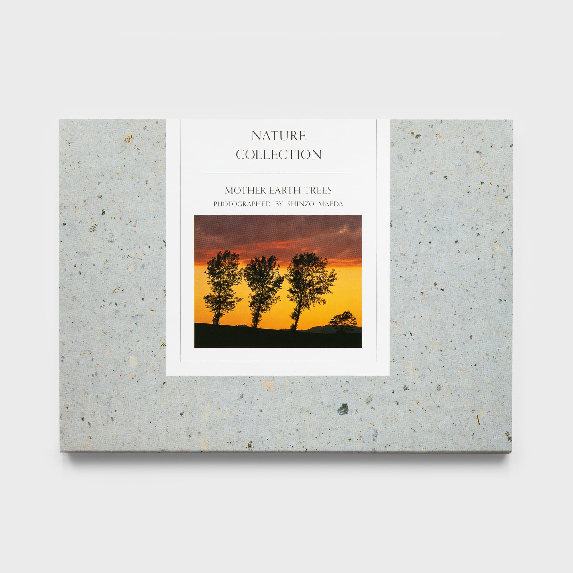 MOTHER EARTH TREES〈ポストカード12枚セット〉 | 拓真館 TAKUSHINKAN 