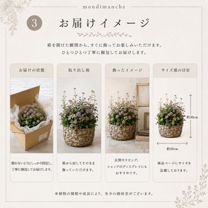 植木鉢　アンプリメフルールポットL｜陶器　シャビーシック　寄せ植えして飾ると素敵なガーデンになる　16233