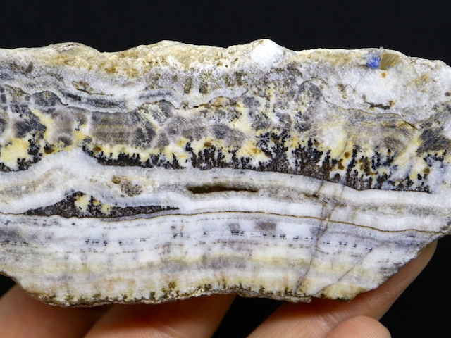 シルバーレースオニキス デンドリチック 縞瑪瑙 スライス 64,4g 原石 SLO013 鉱物　天然石　パワーストーン 