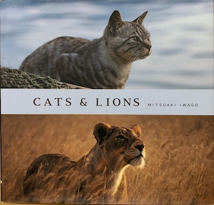 CATS & LIONS（単行本）