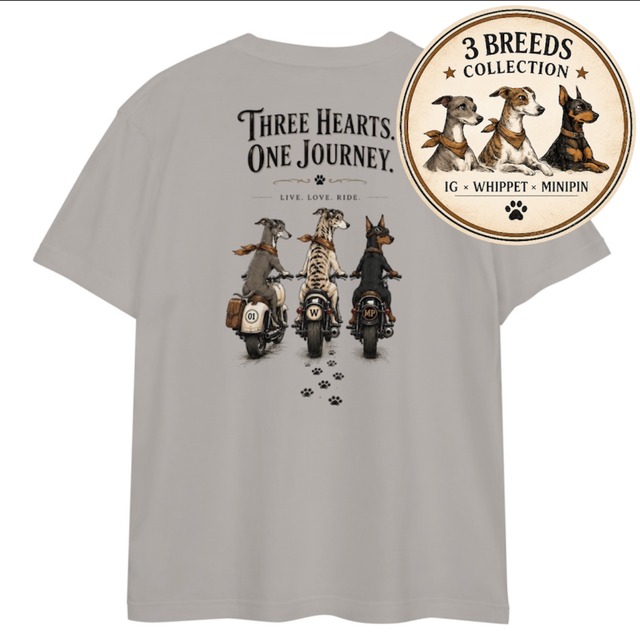 ≪One Journey≫ハイクオリティーTシャツHQ65
