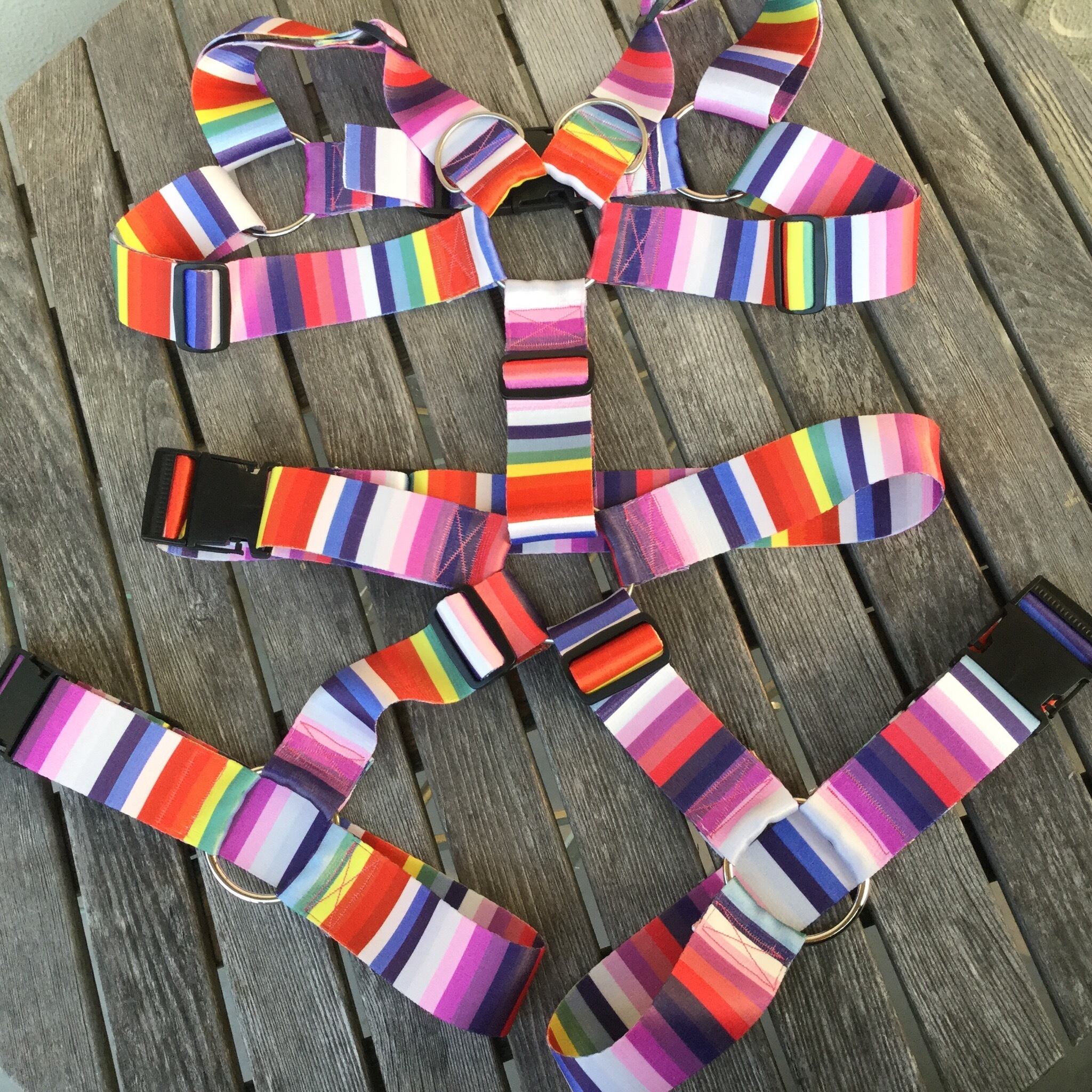 フルハーネス 虹色 50mm幅