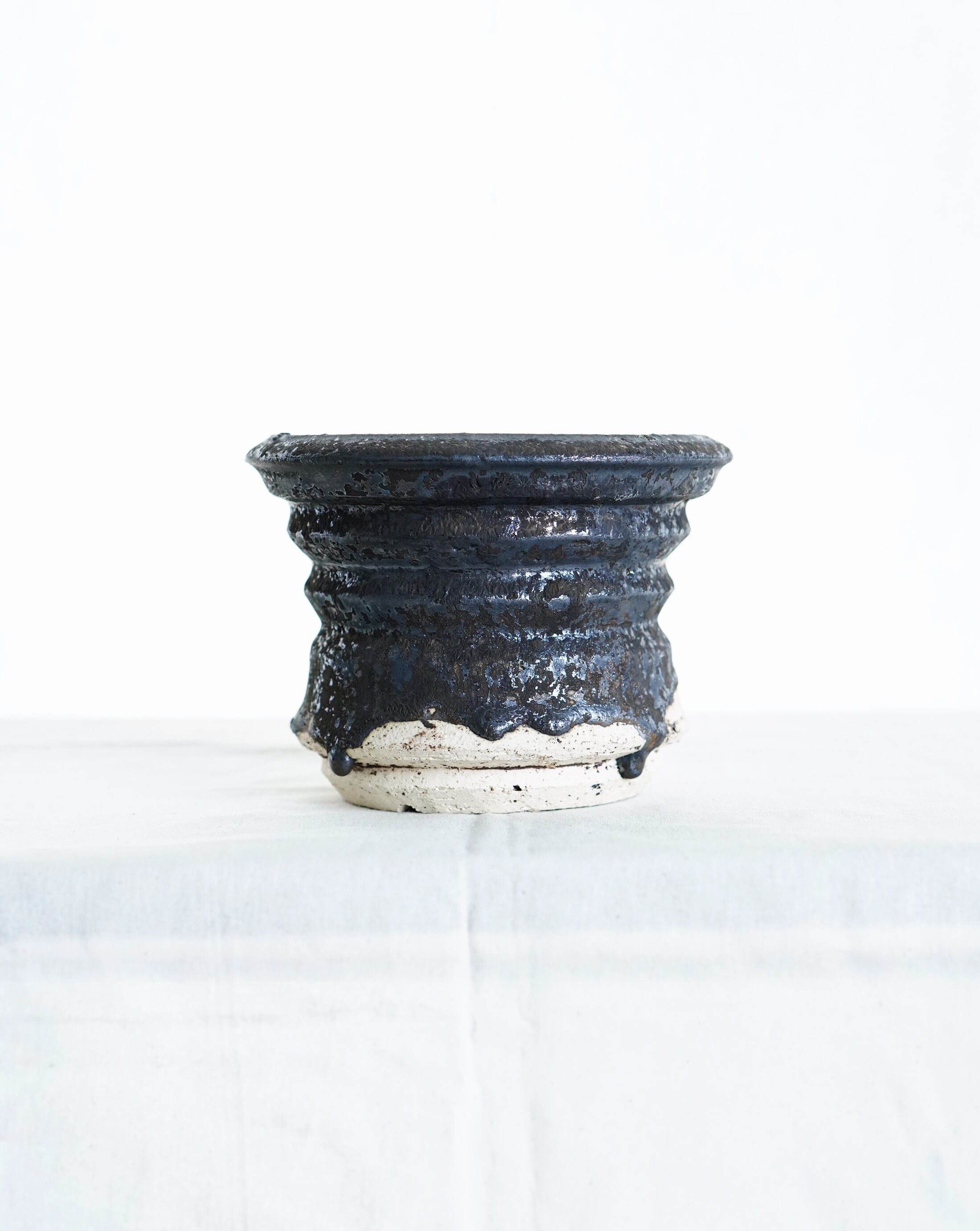 姫野翔太 | hitsujitoyagi