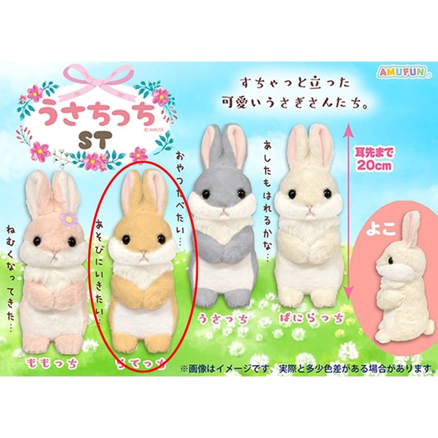 うさちっち ぬいぐるみ らてっち(7451908)