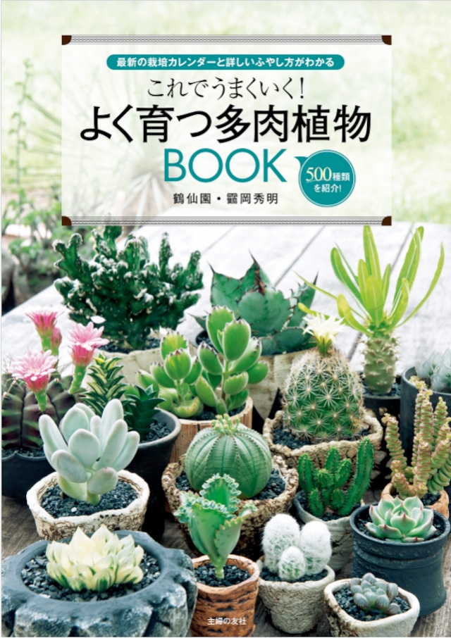 これでうまくいく! よく育つ多肉植物BOOK (主婦の友社)