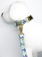 Collar&Leash set(Amari)