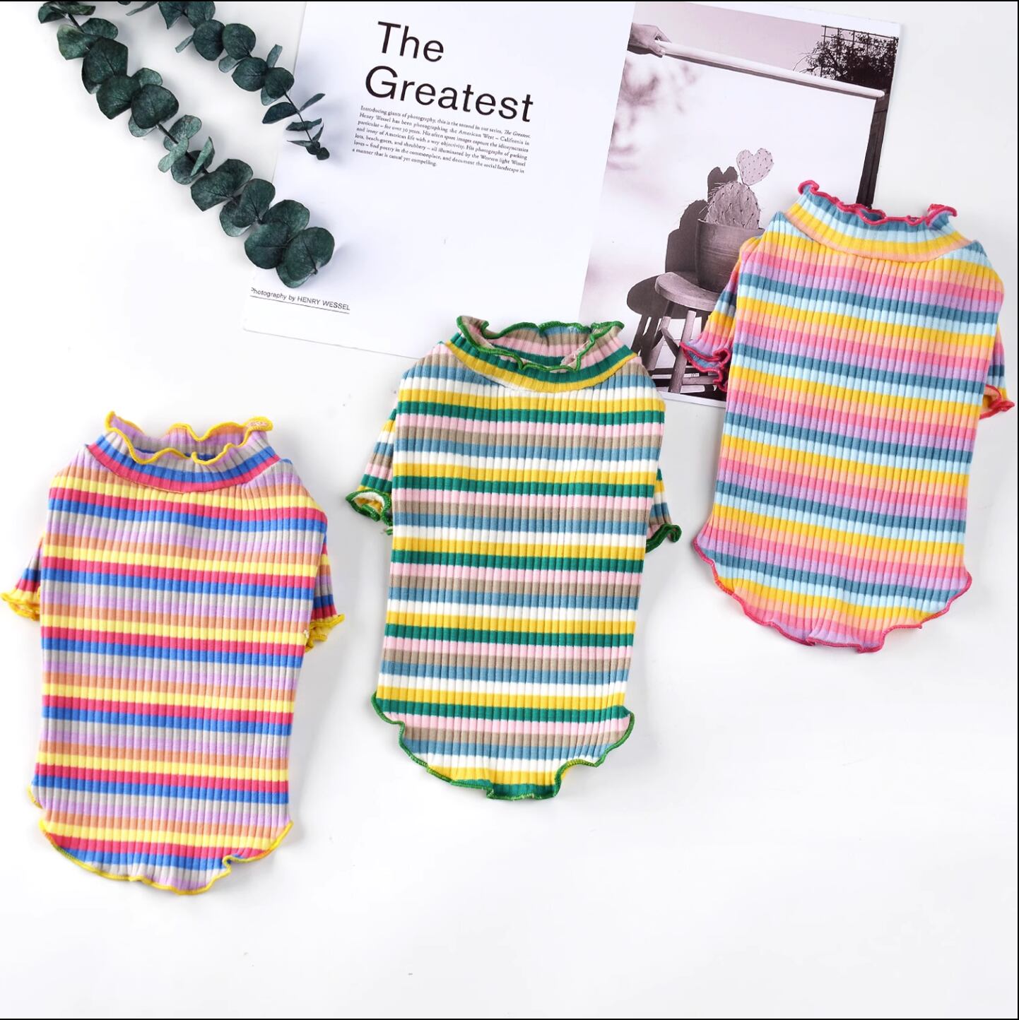 ドッグ 犬 中型犬 小型犬 フレブル チワワ パグ ヨークシャテリア Mダックス ヨークシャー ドッグウェア 室内着 ブラウス つなぎ タイト スリム 細身 ストレート かわいい きれいめ シンプル カジュアル おしゃれ レトロ ラフ 個性的 主役級 存在感 ラブリー キュート 都会的 ガーリー ボーダー 春 夏 男の子 女の子 成犬 子ども デート お出かけ お泊まり アウトドア キャンプ イベント リゾート 旅行 海 プール 公園 休日 バカンス ショッピング 庭 ガーデン 朝 散歩 ウォーキング