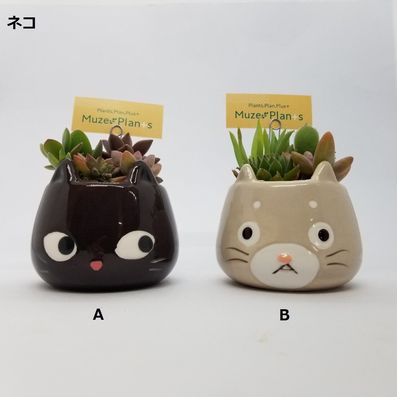 アニマルポット | Muze Plan+s