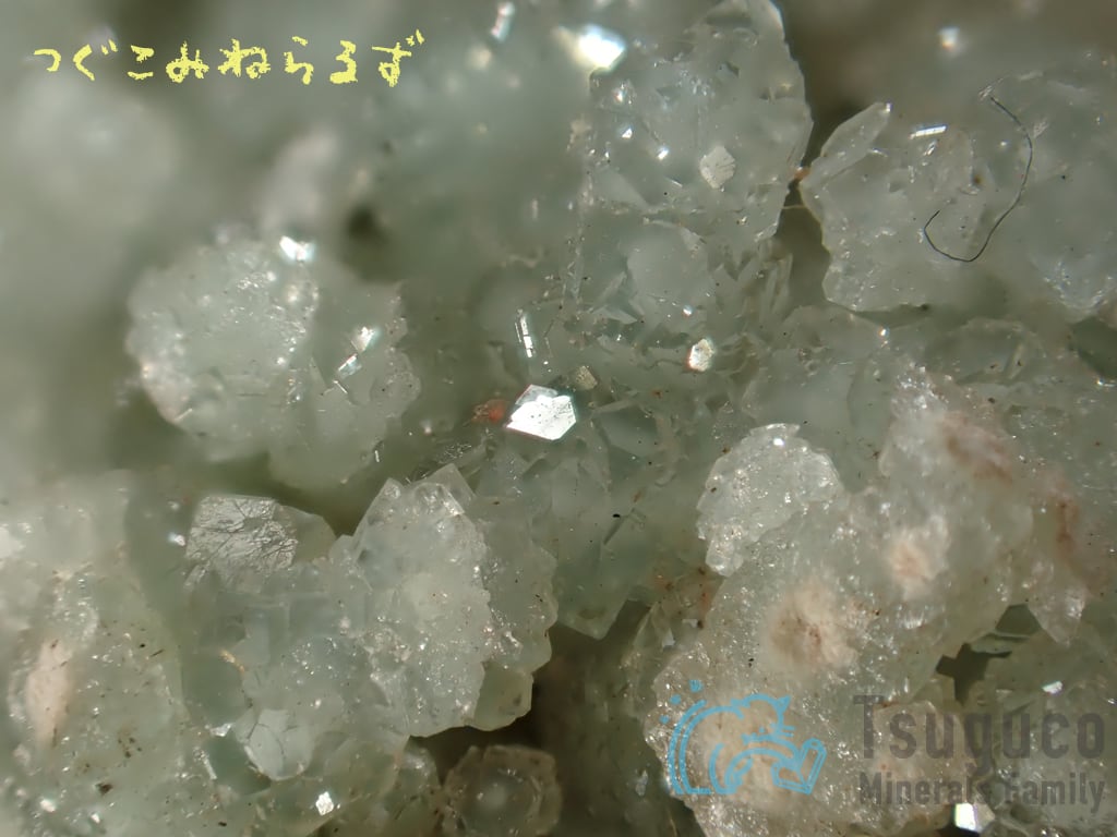 ボラサイト 方硼石 Boracite イギリス TM-0029