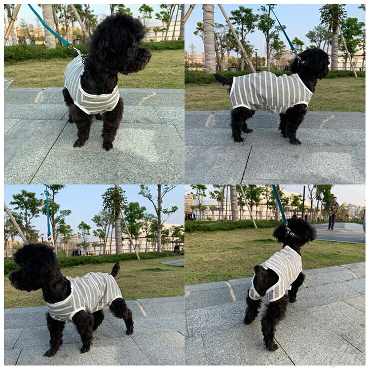 ボタンタイプのボーダー術後ウェア 犬猫兼用 術後服 術後着 介護ウェア