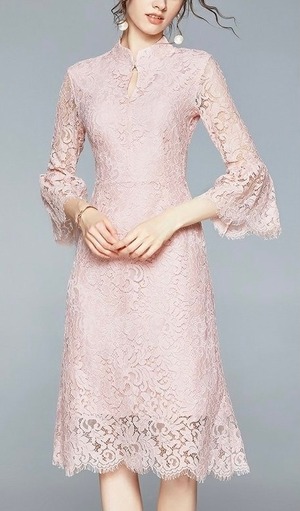 Elegant  Lace Dress  Pink 〖No.M05〗