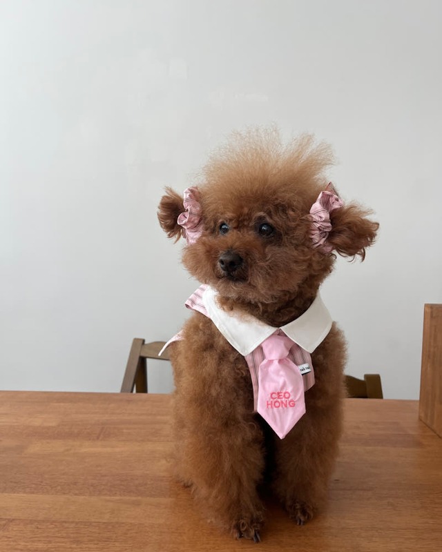 予約【tak!tak!tak!tak!】Vintage stripe custom Necktie / 3color 〔お名前刺繍〕