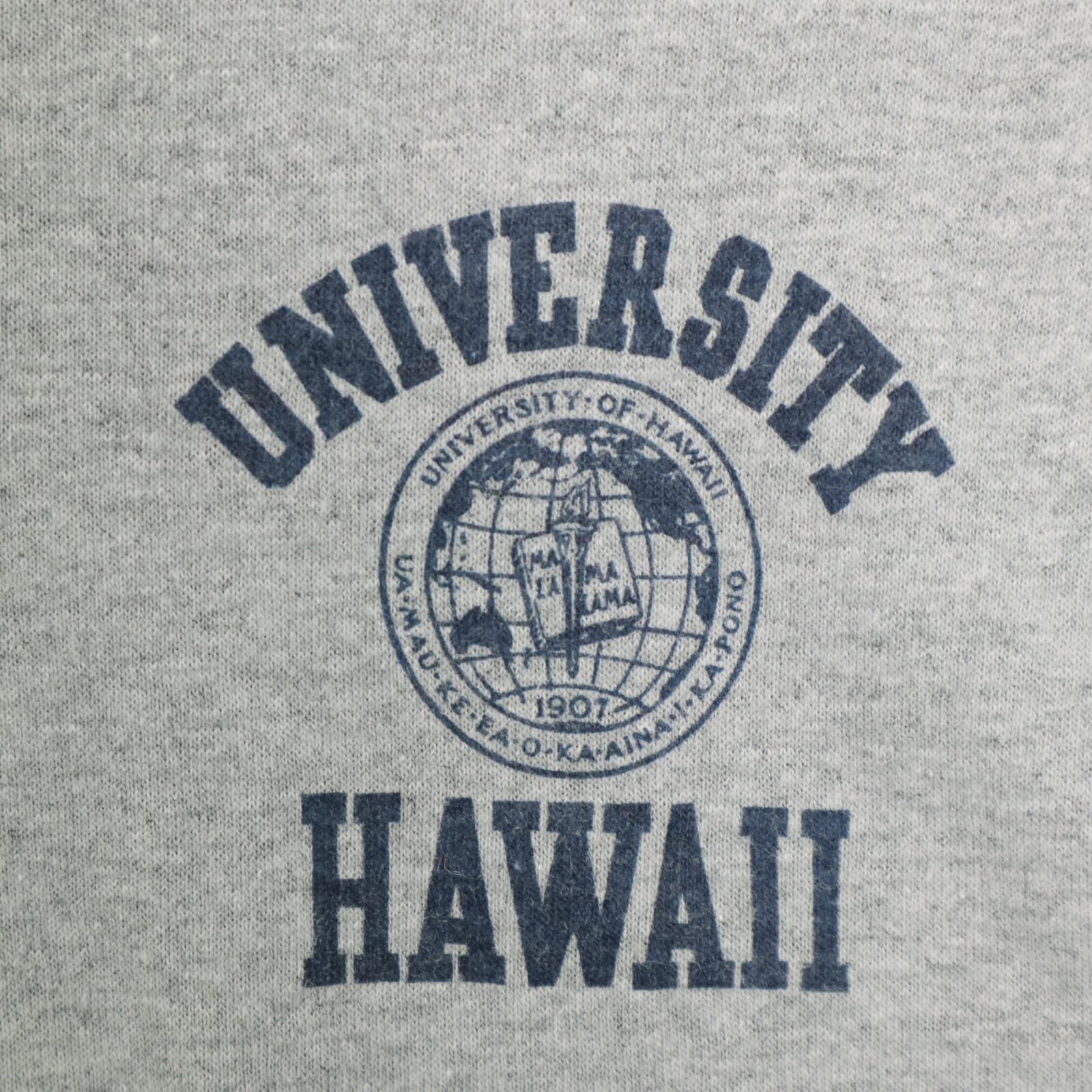 90s USA製 UNIVERSITY OF HAWAII Tシャツ XL 90s Hanes（MADE IN USA）