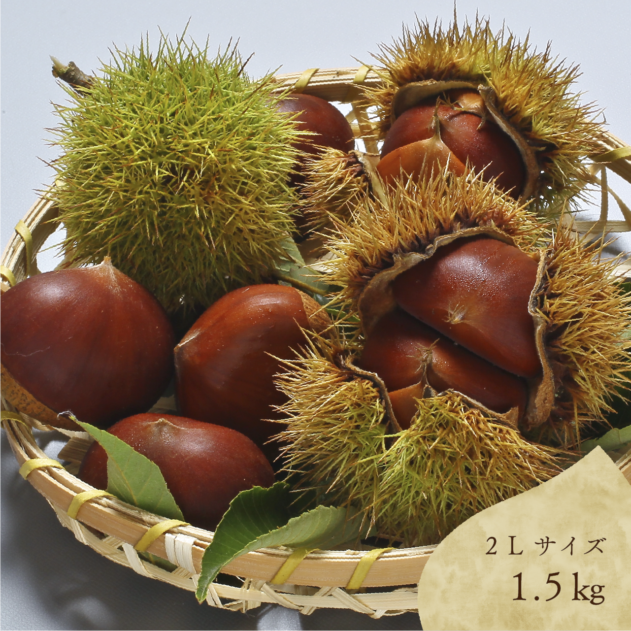最高級丹波栗2Lサイズ 1.5㎏