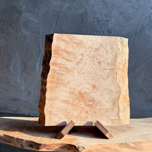 No.386：オリーブ