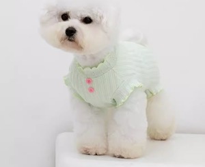 ドッグ 犬 小型犬 ドッグウェア 室内着 シャツ スリム フリル 袖付き ベーシック ボタン ふりふり ひらひら かわいい きれいめ シンプル 上品 おしゃれ レトロ 個性的 クール モード系 エレガント モダン かっちり キュート プリンセス フェアリー 都会的 ラグジュアリー クラシカル ベーシック アメリカン プレッピー シンプル フレンチ シック 無地 夏 サマーシーズン 夏服 男の子 女の子 成犬 お出かけ 公園 休日 散歩 ウォーキング 室内 おうち 楽ちん 普段使い 定番 大きいサイズ