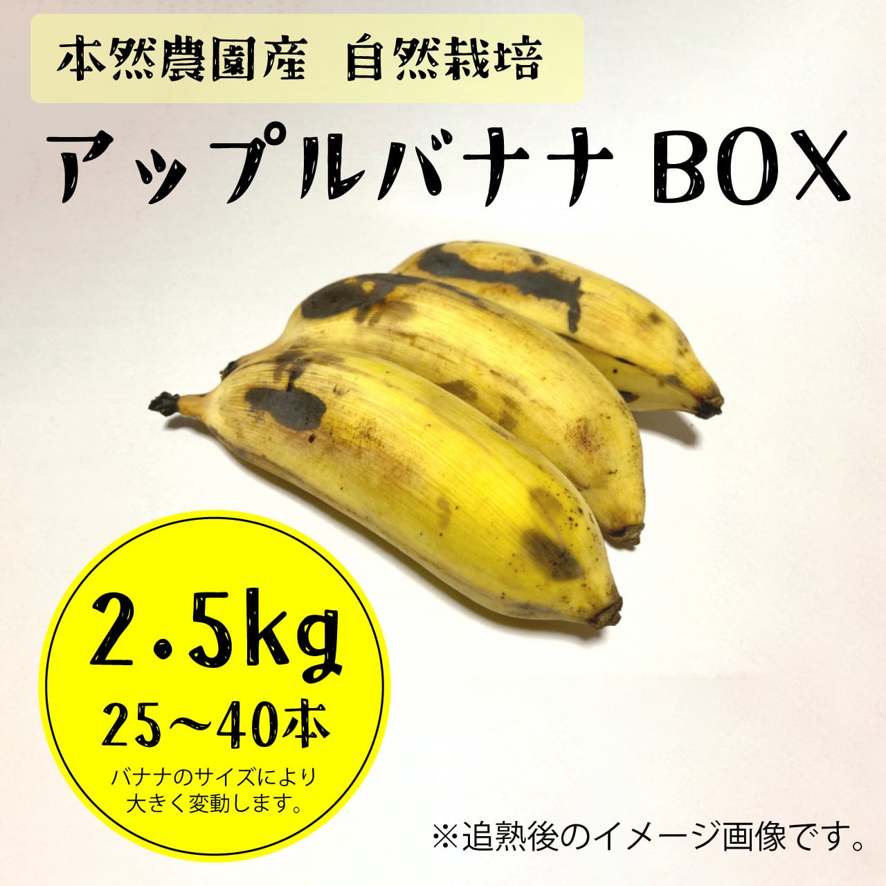 自然栽培アップルバナナBOX（約2.5kg：約25〜30本） | 本然農園