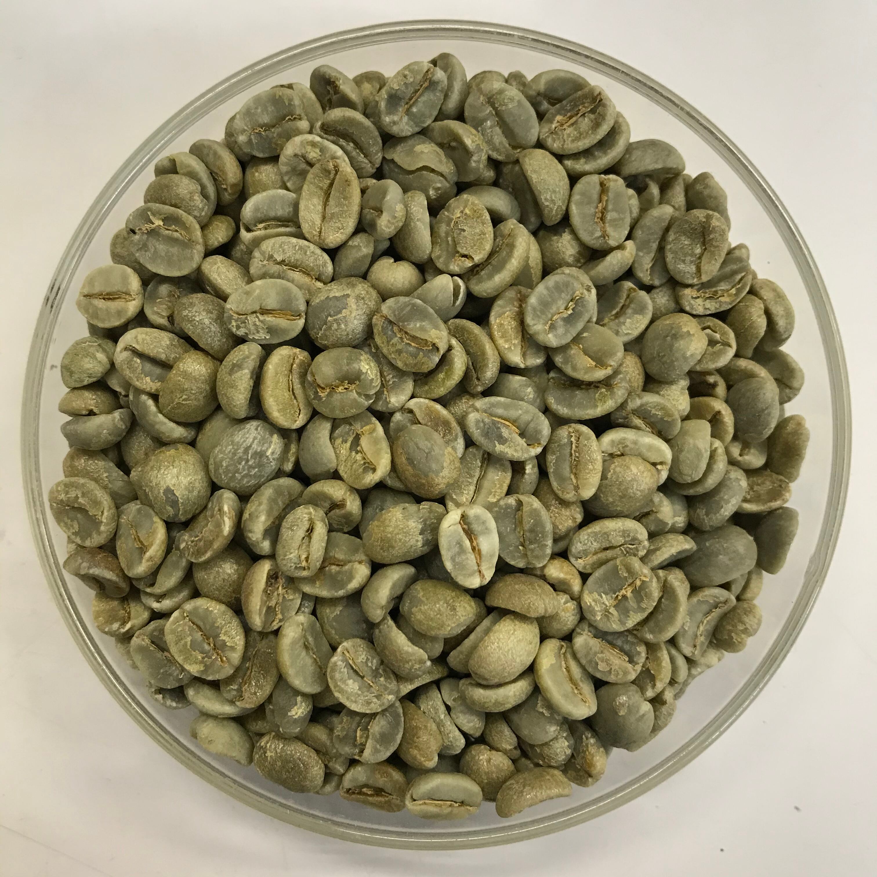 【ブラジル】プレミアムショコラ ［1000g］中深煎り 自家焙煎珈琲