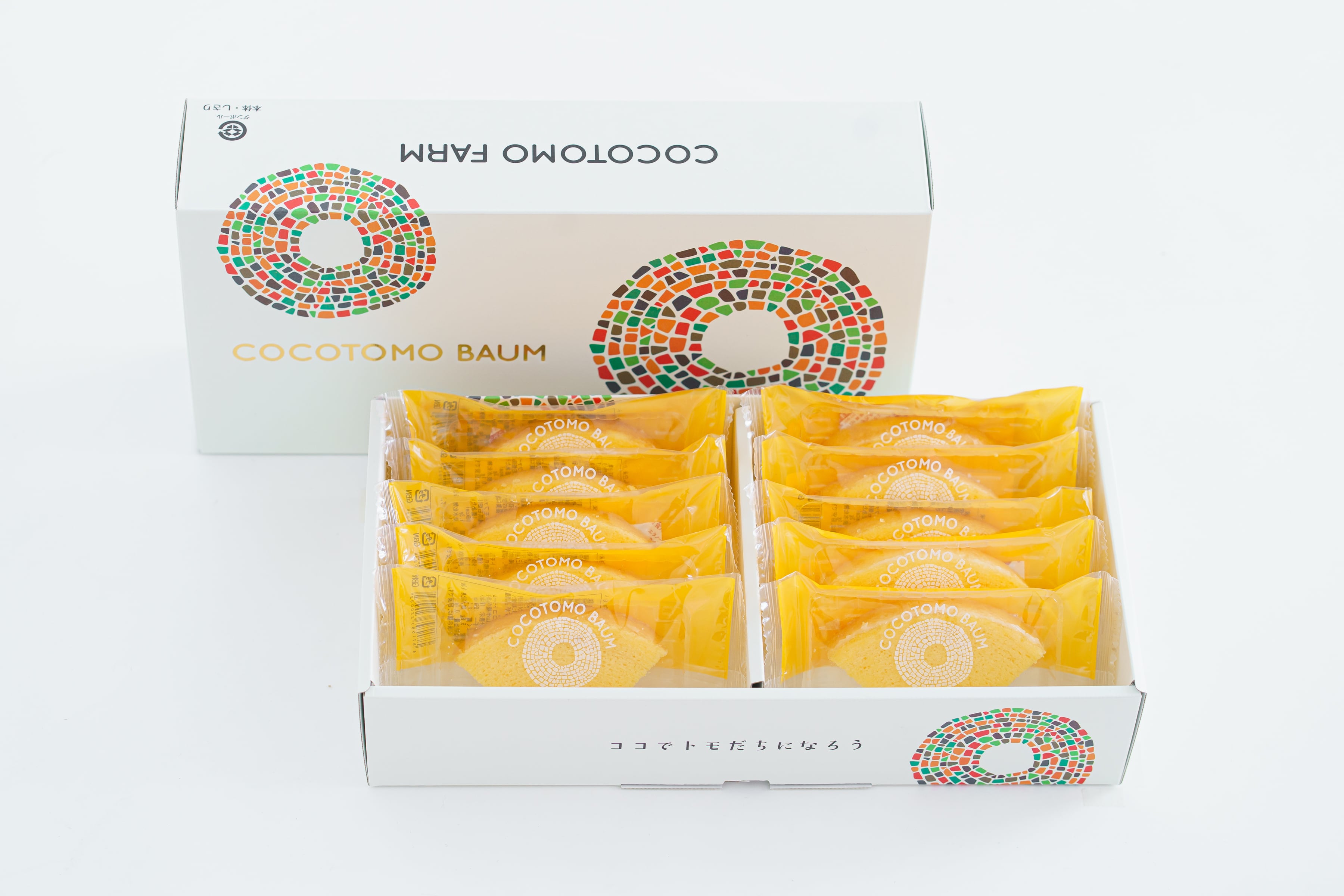 ココトモBOX CB-050-10
