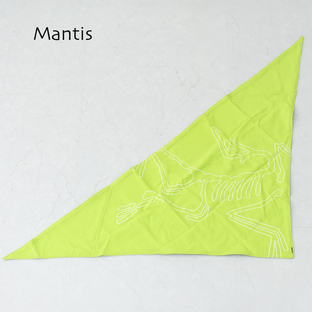 ARC'TERYX [アークテリクス正規代理店] Sinsolo Bandana [X000010184