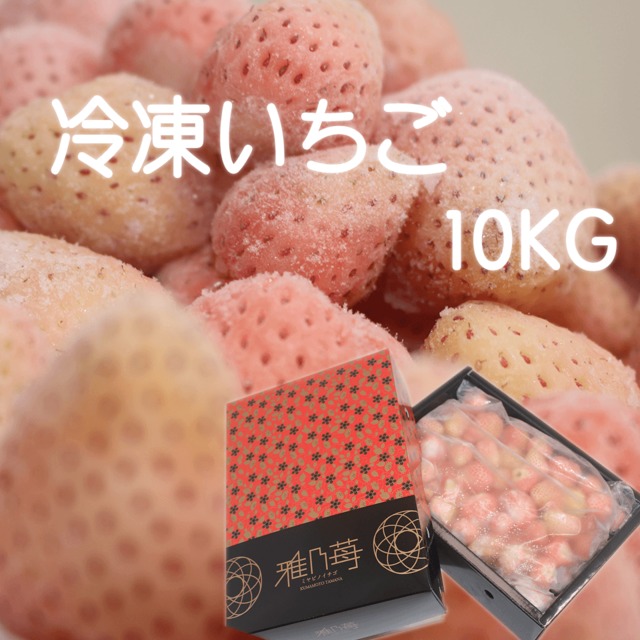 【送料無料】熊本産 冷凍いちご 淡雪 10kg