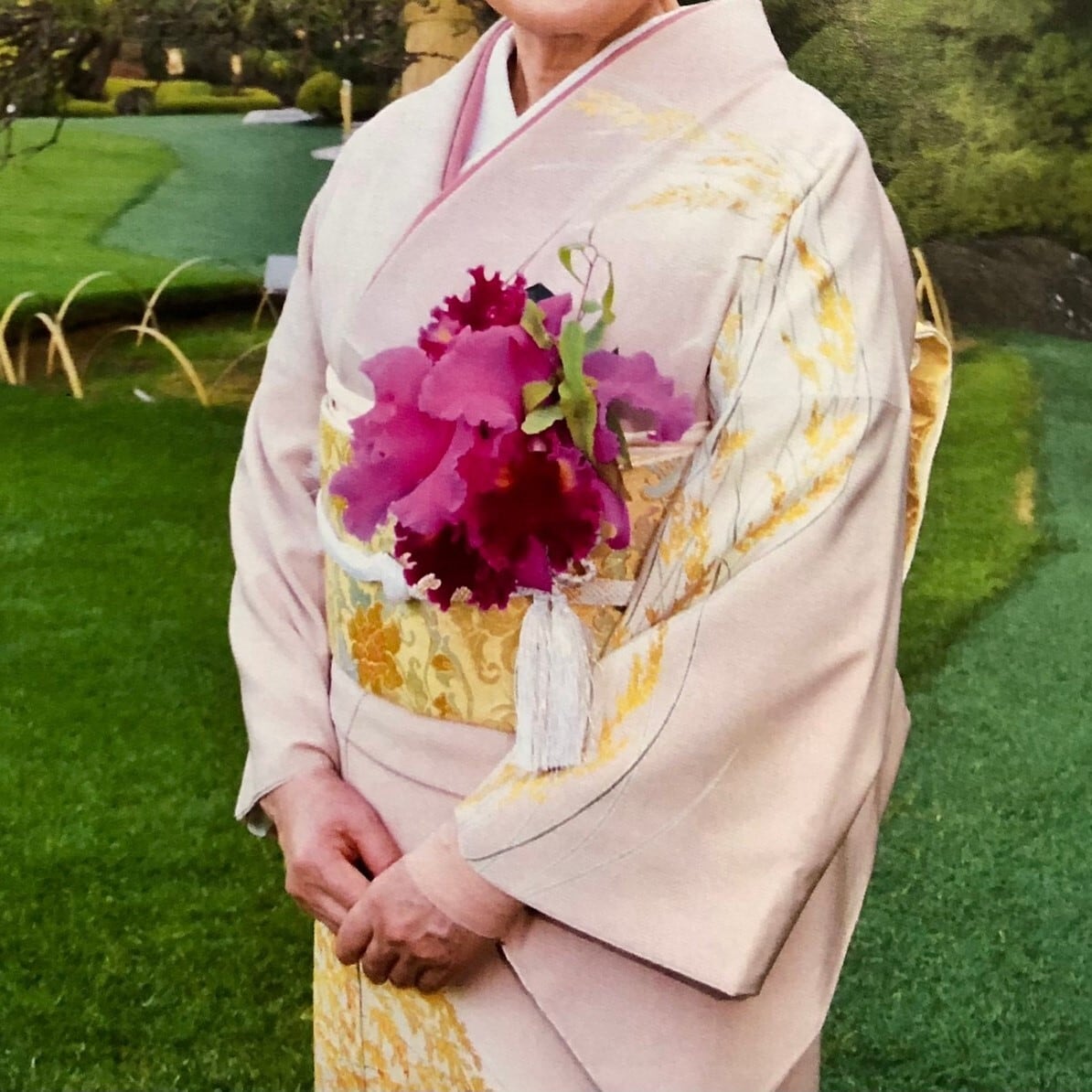 カトレアの切花（10輪セット） | みさと洋蘭園（MISATO Orchids）