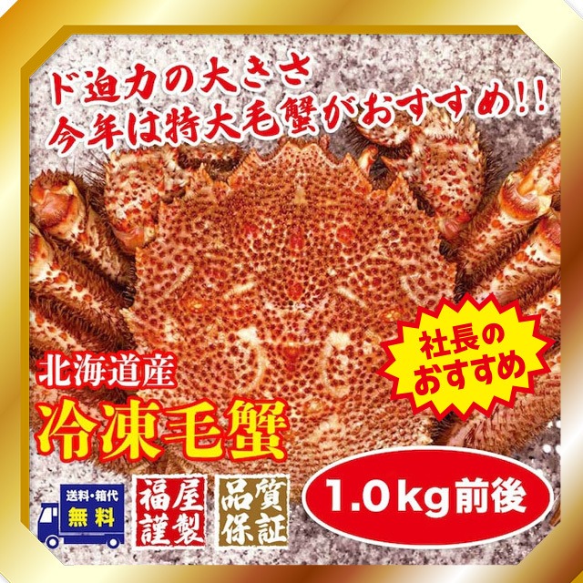 北海道産冷凍毛蟹　超特大毛蟹1尾セット1.0kg前後【送料・箱代無料】