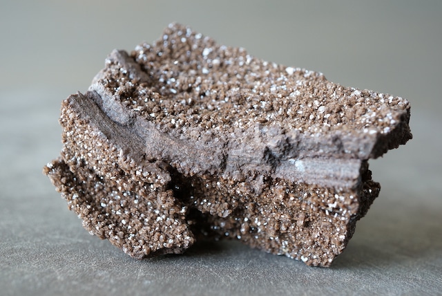 ドイツ産珪化木/クォーツ　Petrified Wood / Quartz　898