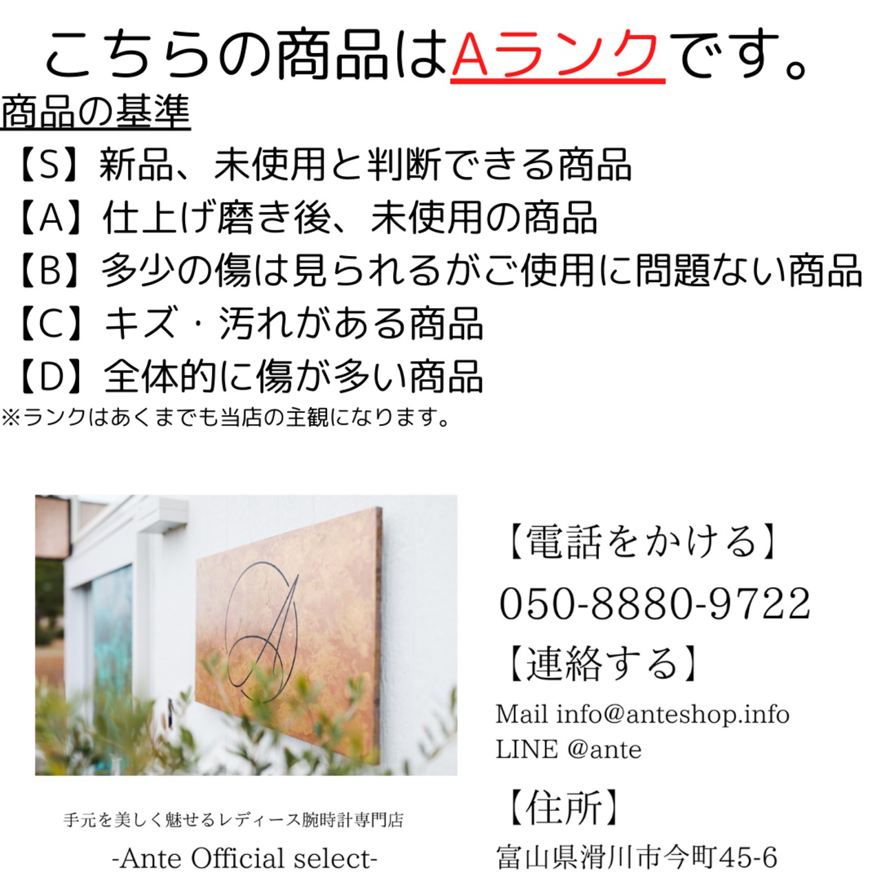 カルティエ サントスラウンド ゴースト文字盤