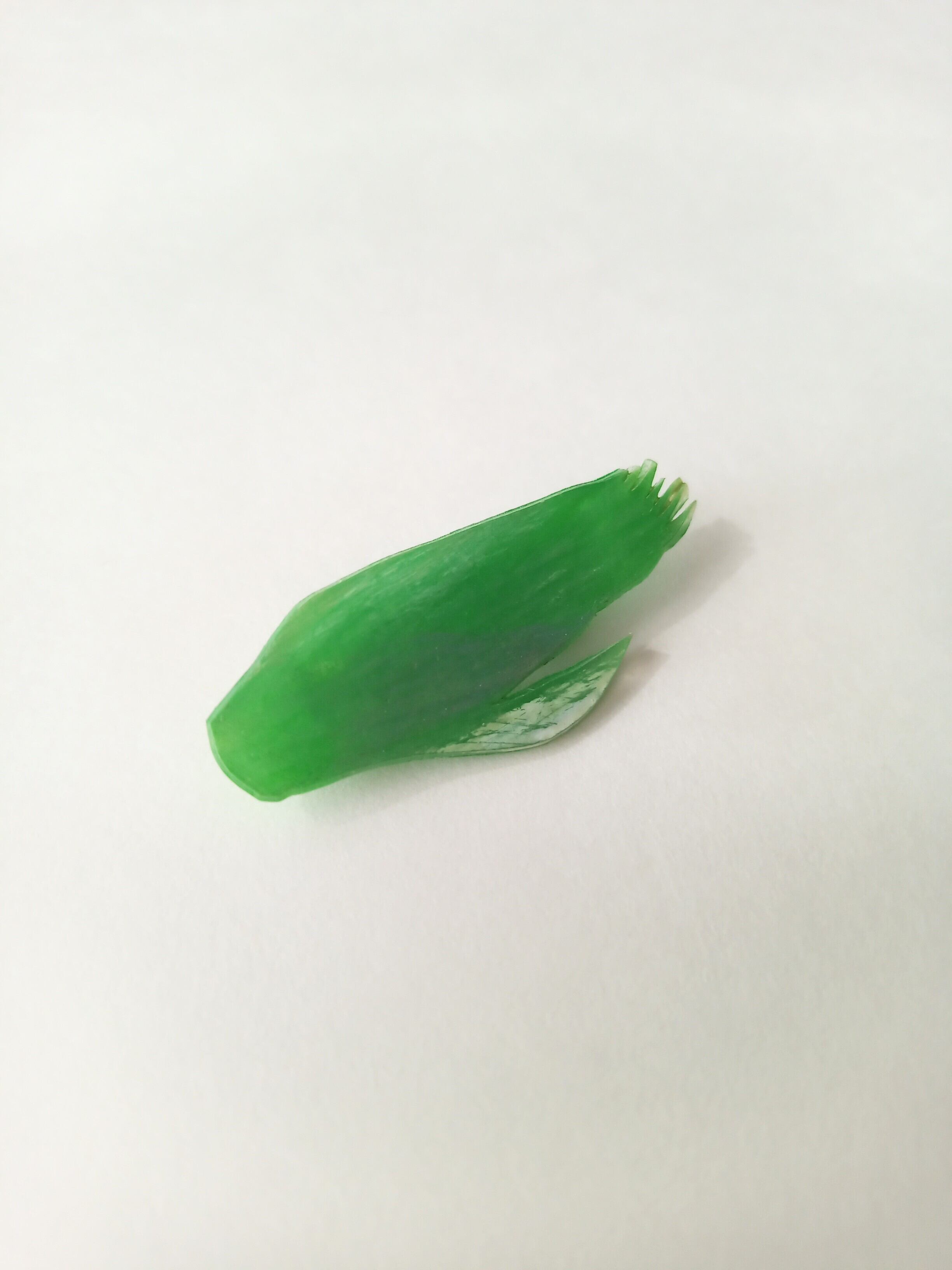 ヘンテコ ブローチ 「たらの芽」