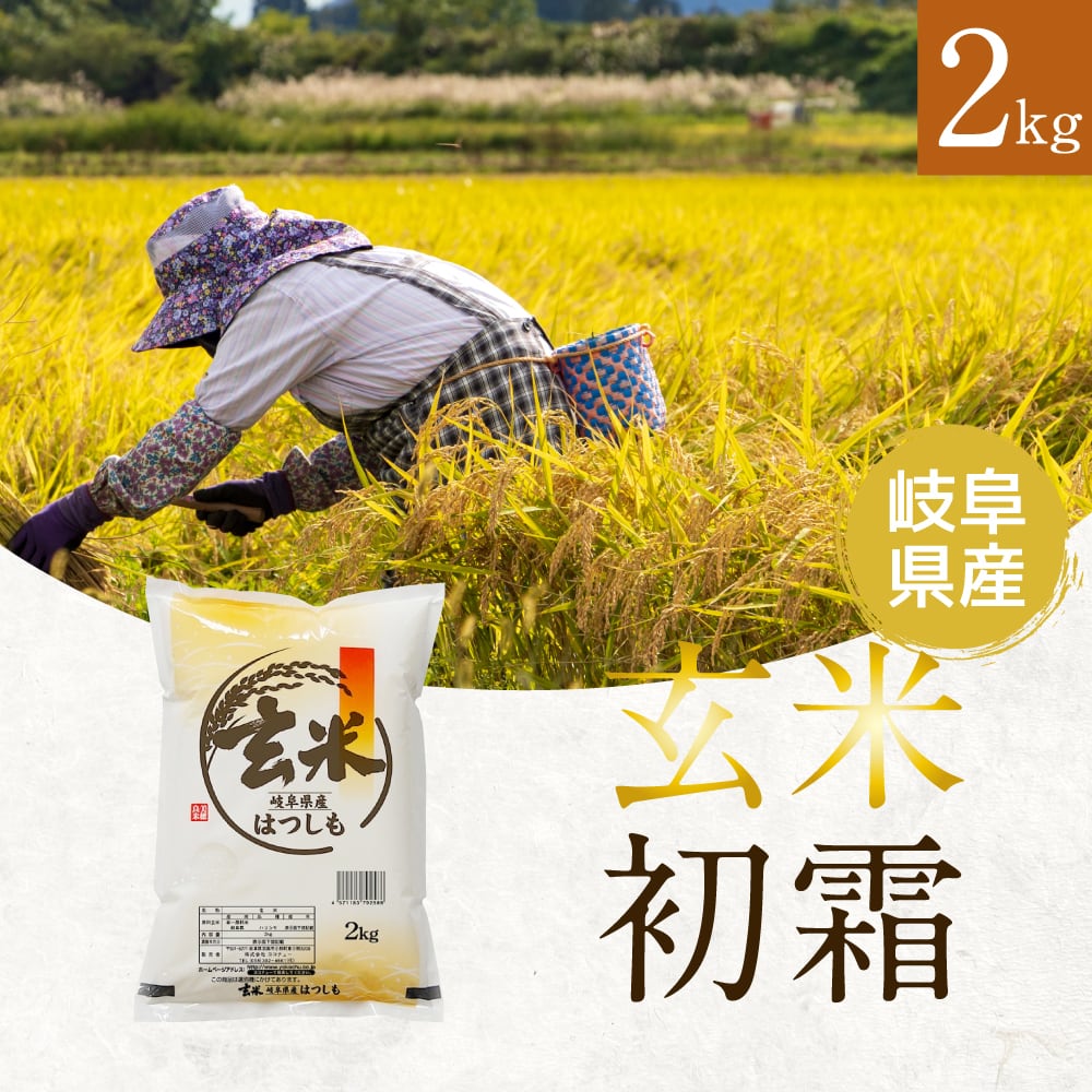 幻の米！玄米 岐阜県ハツシモ 2kg 　通常栽培米【令和5年産】
