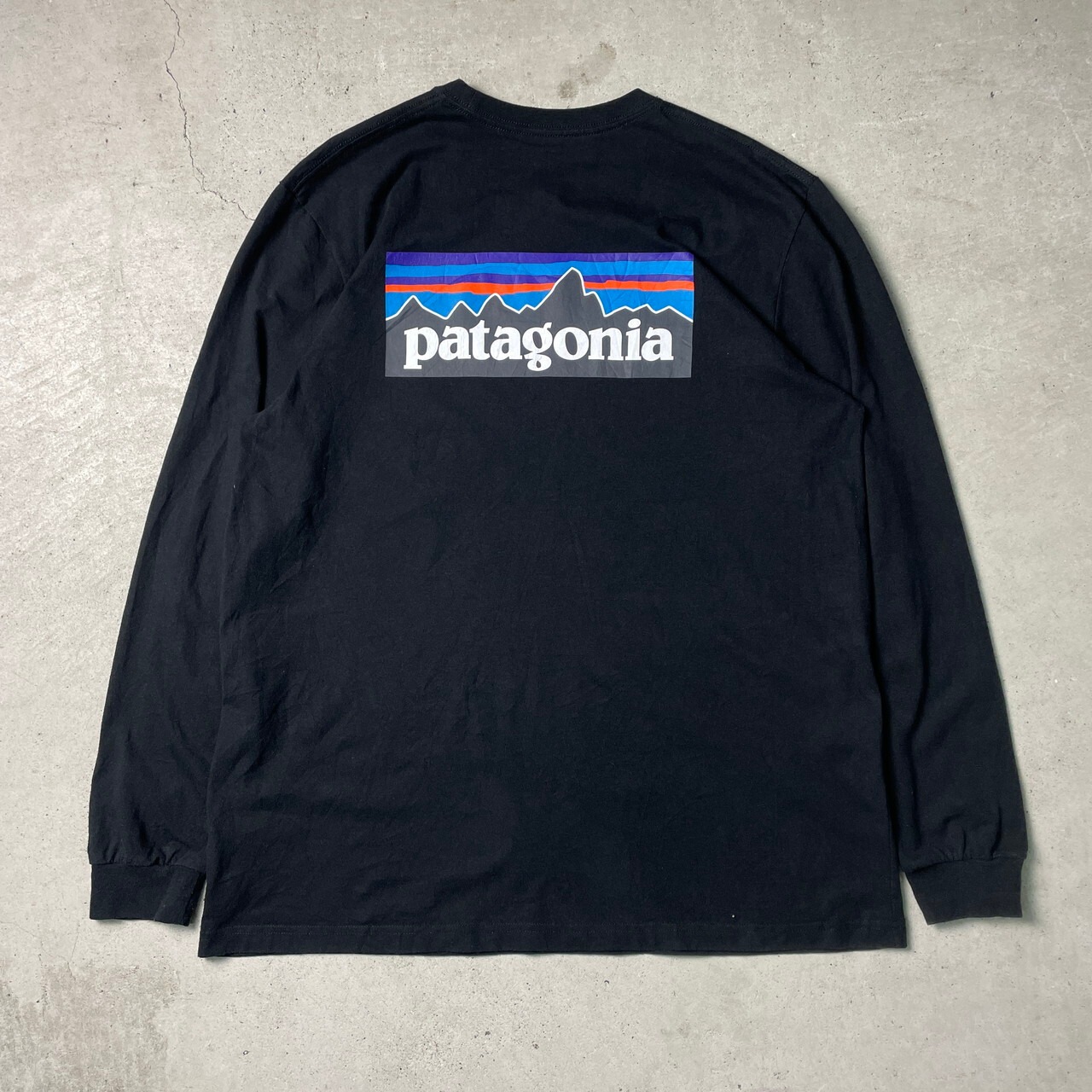 patagonia パタゴニア 胸ロゴ バックプリント ロングTシャツ ロンT 