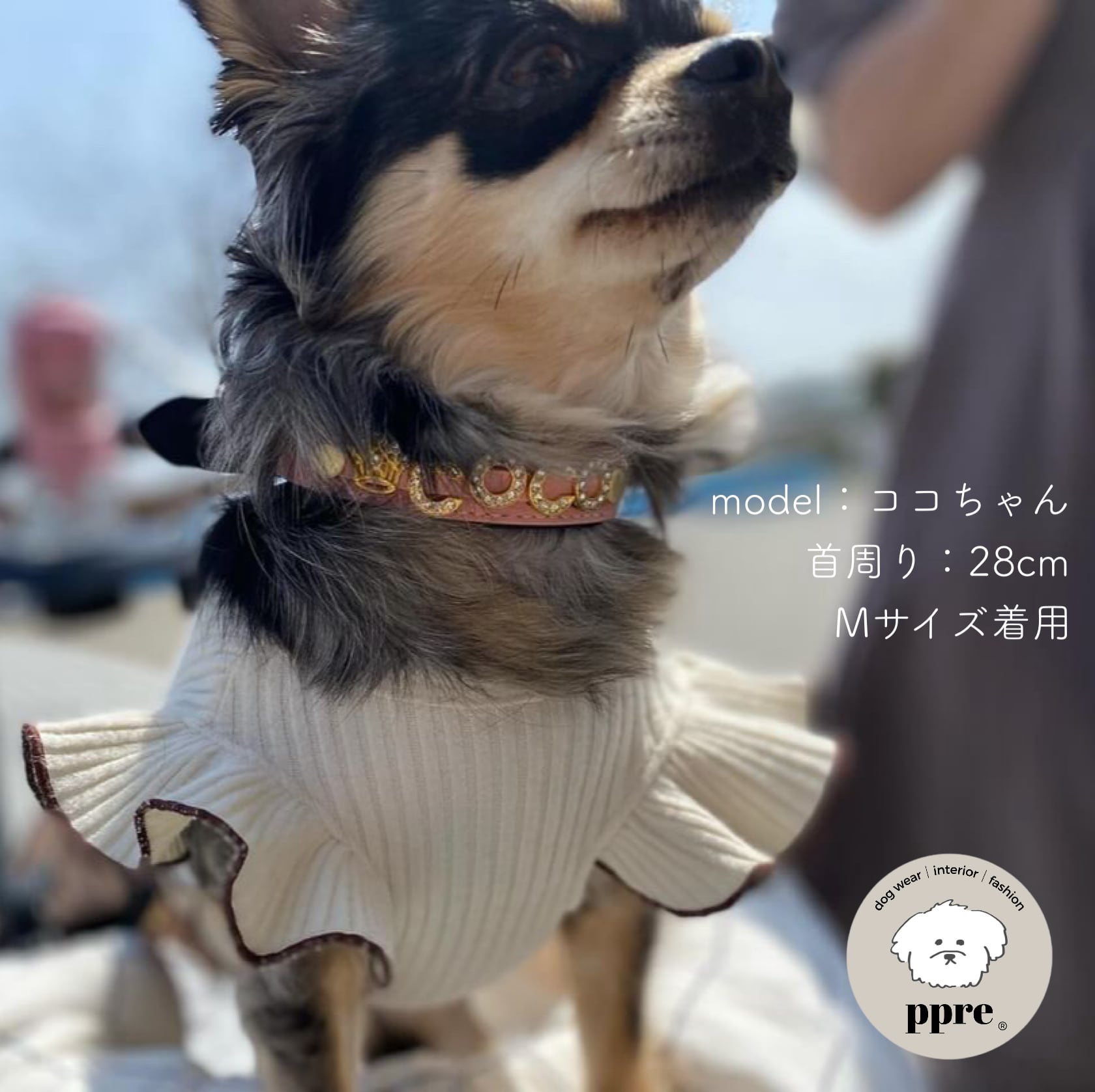 キラキラ イニシャル カスタム 首輪 S M【ピンク】 犬 猫 ペット