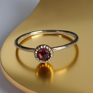 ガーネットリング 13号