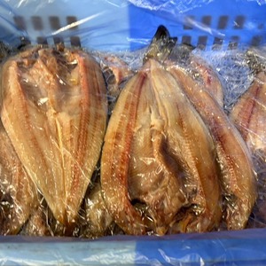 ピチットシート開きホッケ 礼文島産 大サイズ 1枚
