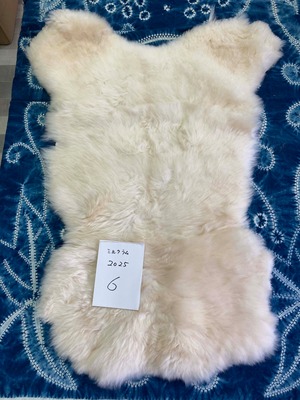 ミルクラムムートン_2025_No.06（2025_白）