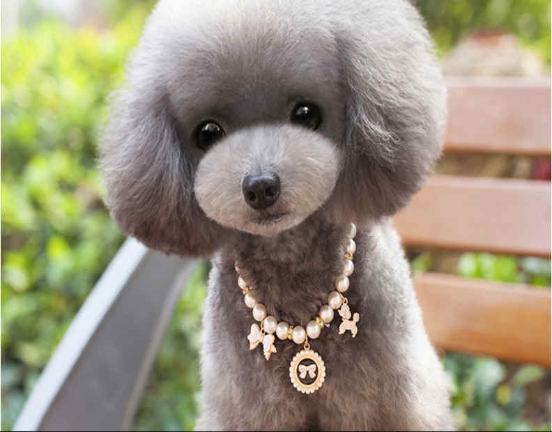 ドッグウェア リボンチャームネックレス 犬用アクセサリー | ＋DOG