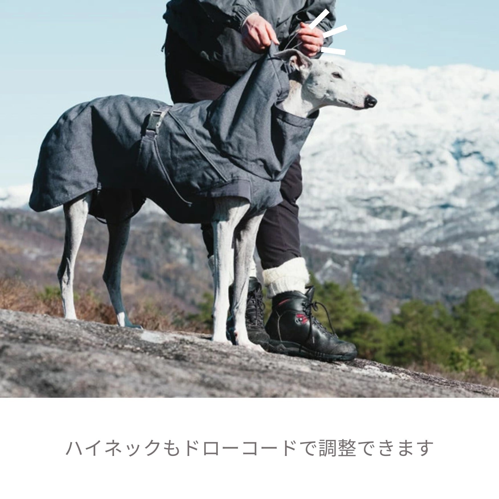 Hurtta】【フルッタ】・ドッグジャケット【エクスペディションパーカー