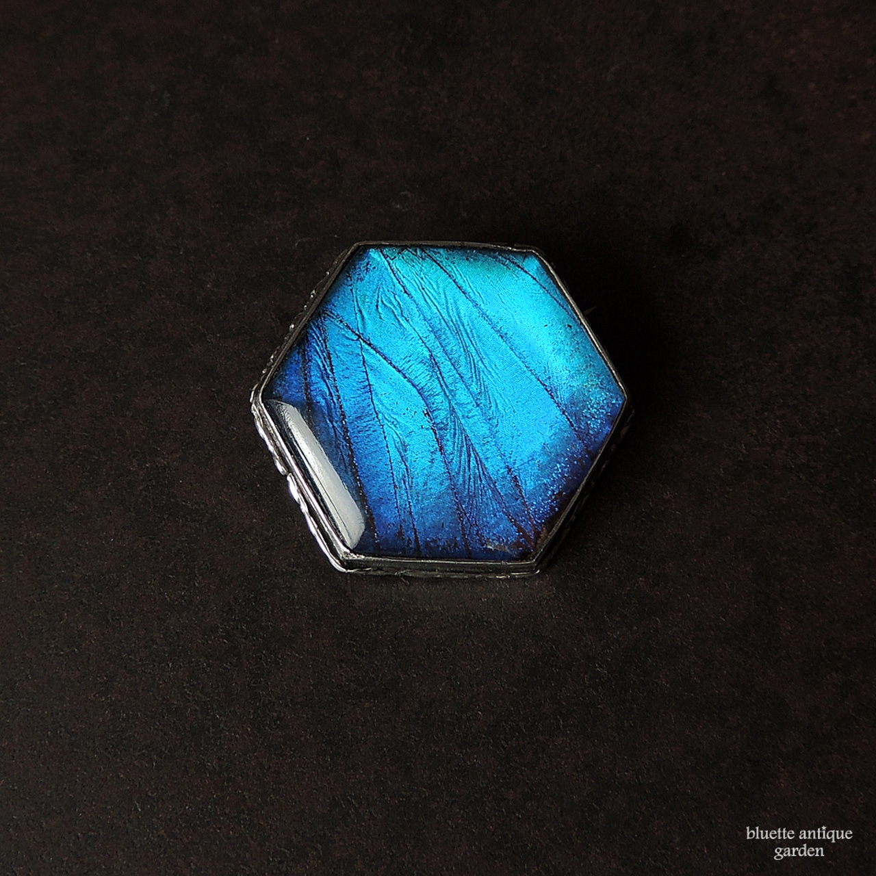 アンティークジュエリー シルバー モルフォ蝶 ブローチ(ヘキサゴンタイプ)