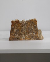 OAK Petrified Wood - Book End #007 ：Natural｜珪化木／一点もの／静かな重み