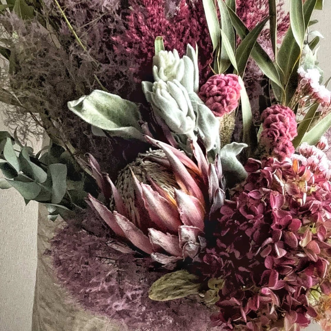 赤系 スモークツリー 紫陽花 キングプロテア パンパスグラス ドライ  