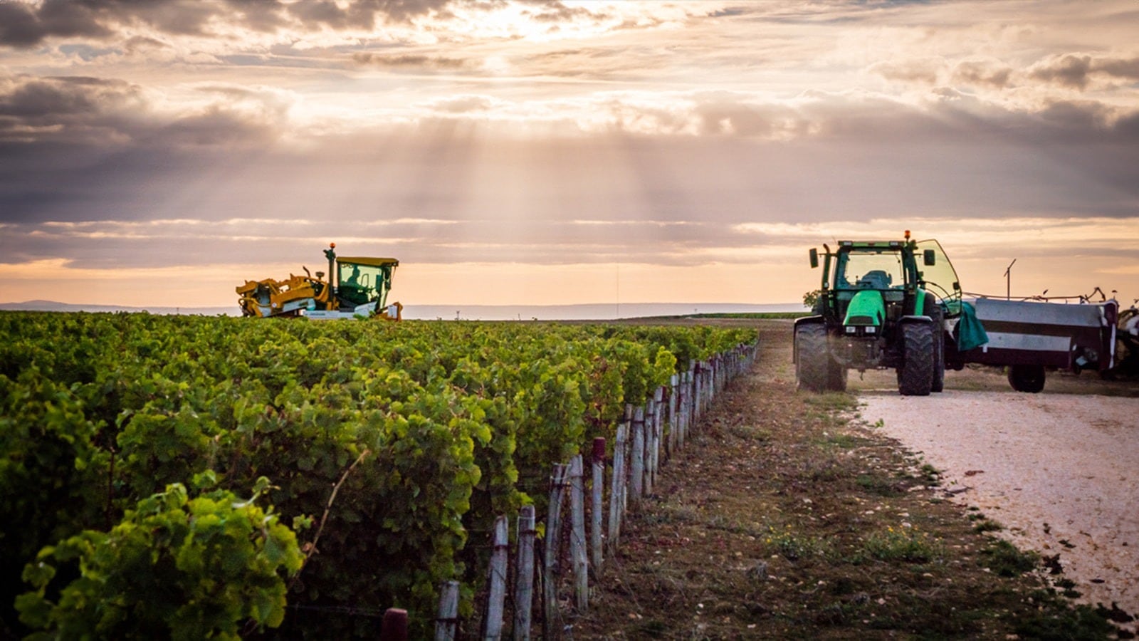 ★飲み頃ワイン★【ドメーヌ・タボルデ】プイィ・フュメ レ・カルシス 2021