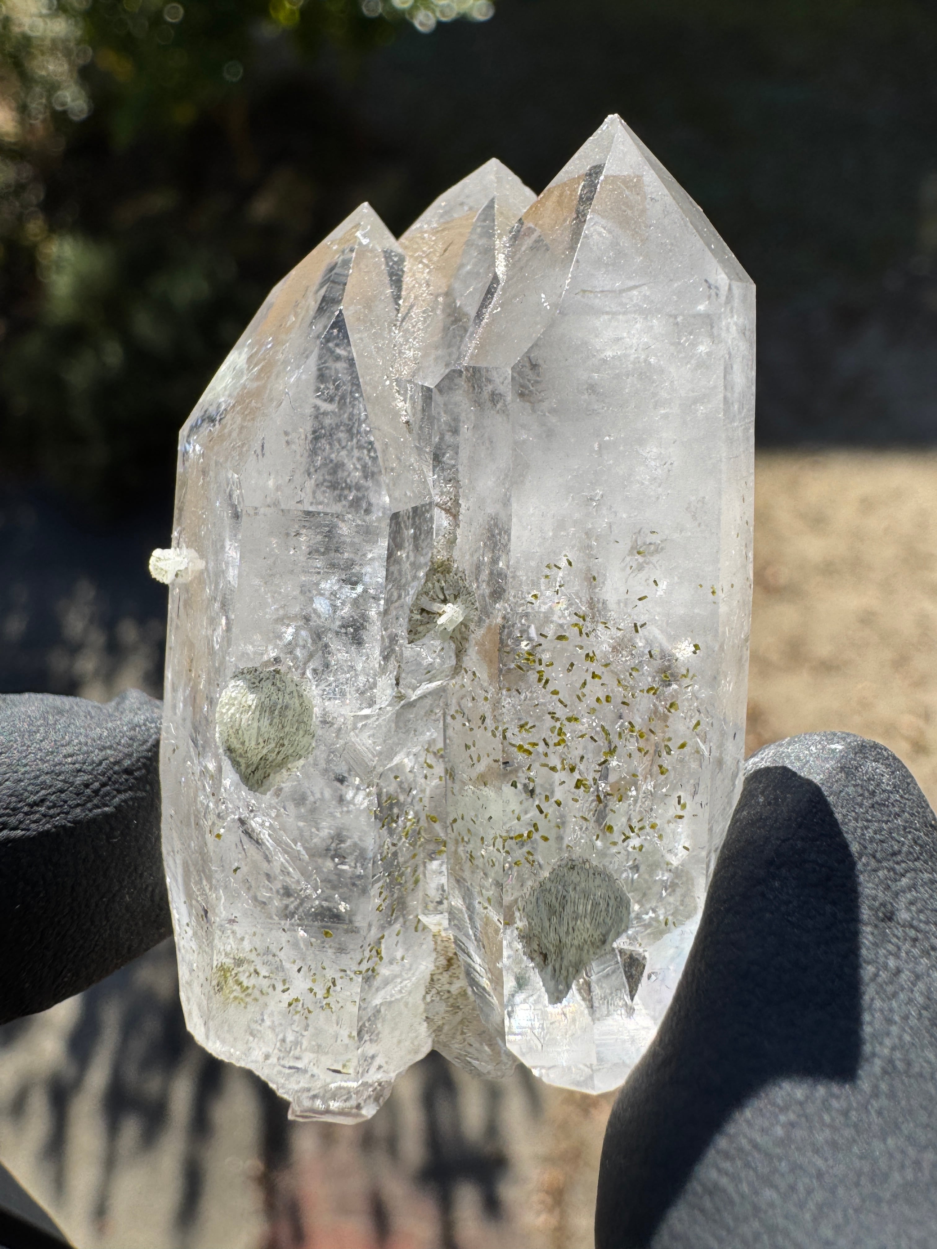 レコードキーパー | アトリエ セドナ