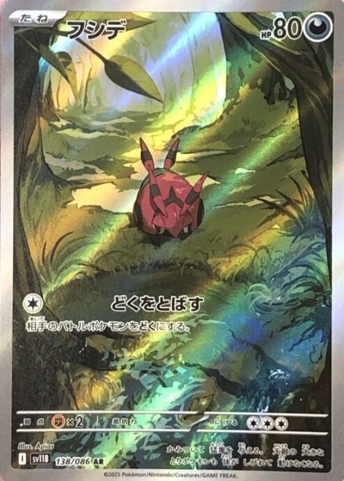 【美品】フシデ(AR)