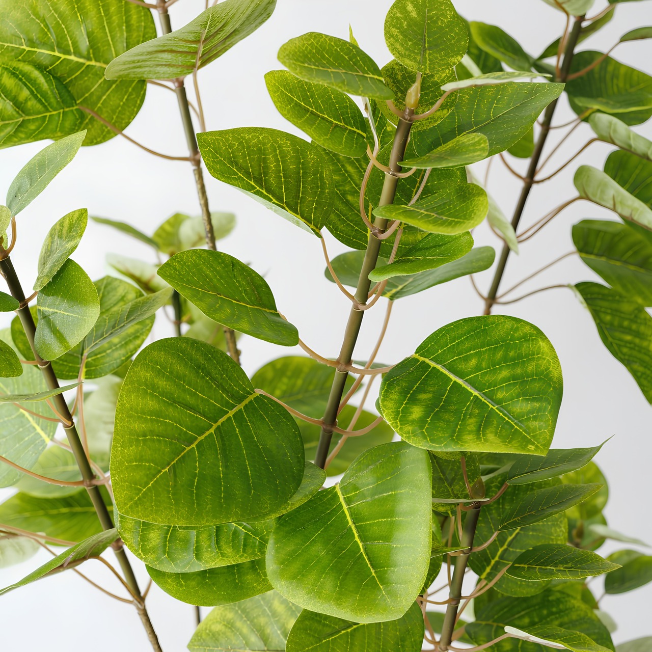 スモークツリー 150㎝［人工観葉植物・フェイクグリーンT］