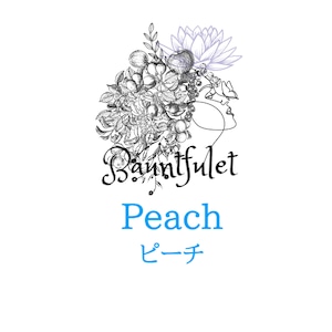 ピーチ（Peach）100g