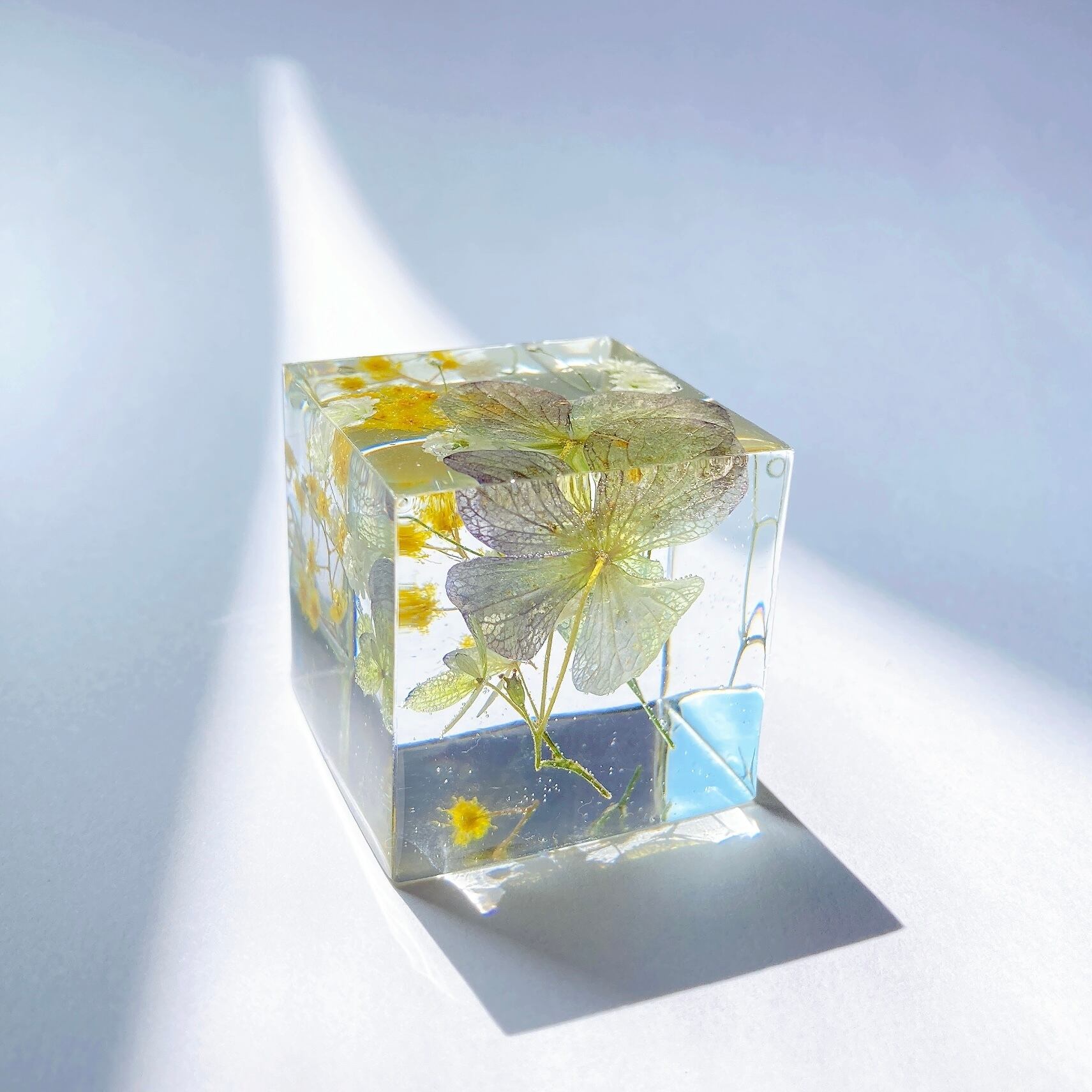 flower cube 【hydrangea】M